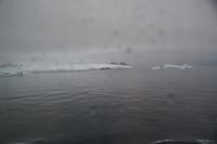 
DSC00009